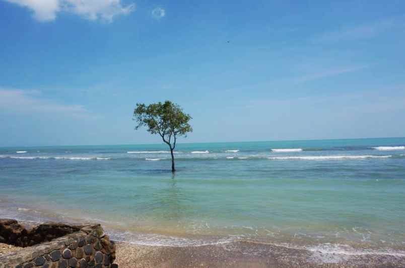 dijual tanah anyer carita kel sukajadi