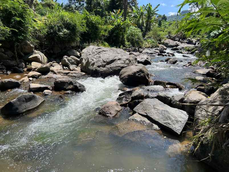 dijual tanah balong jatiyoso karanganyar