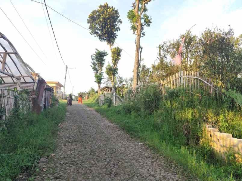 dijual tanah banaran