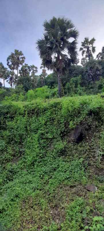 dijual tanah banjar dinas suci