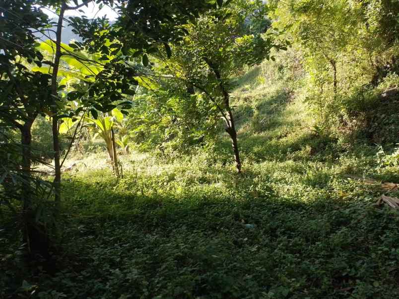 dijual tanah banjar dinas suci