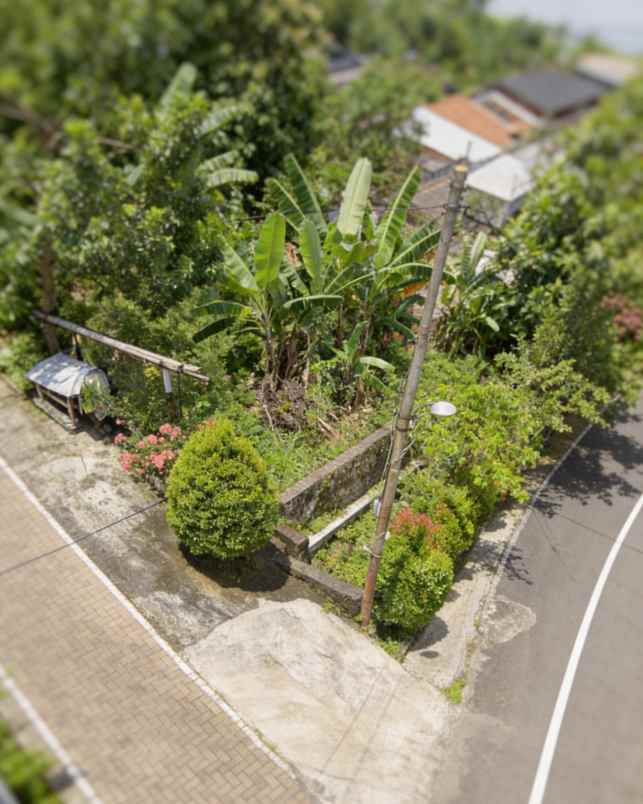 dijual tanah borobudur