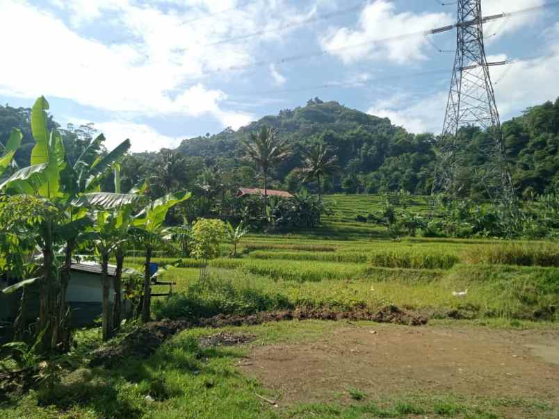 dijual tanah cicangkang girang