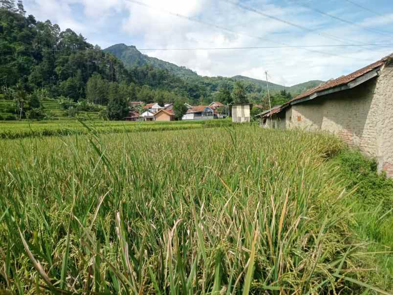 dijual tanah cicangkang girang