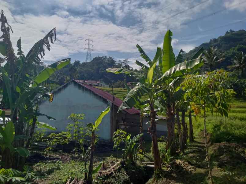 dijual tanah cicangkang girang