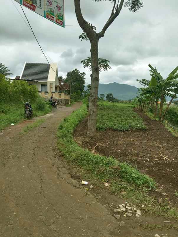 dijual tanah cikubang tanjungsari