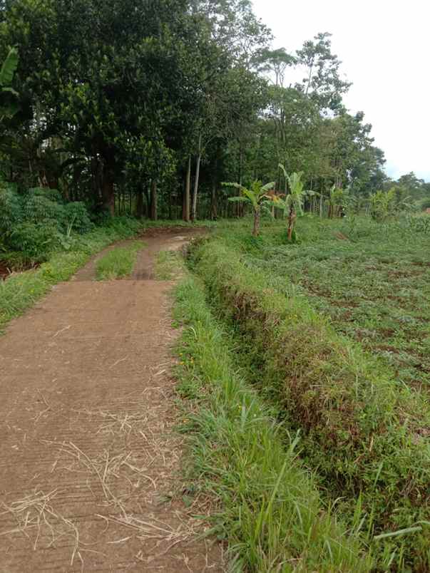 dijual tanah cikubang tanjungsari
