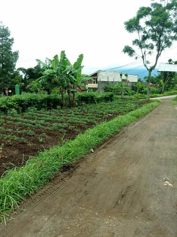 dijual tanah cikubang tanjungsari