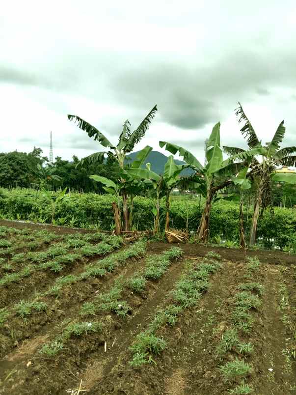 dijual tanah cikubang tanjungsari