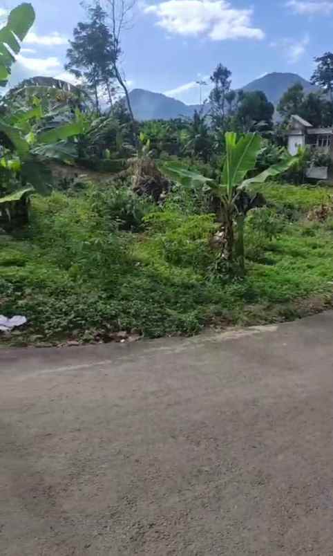 dijual tanah cileles