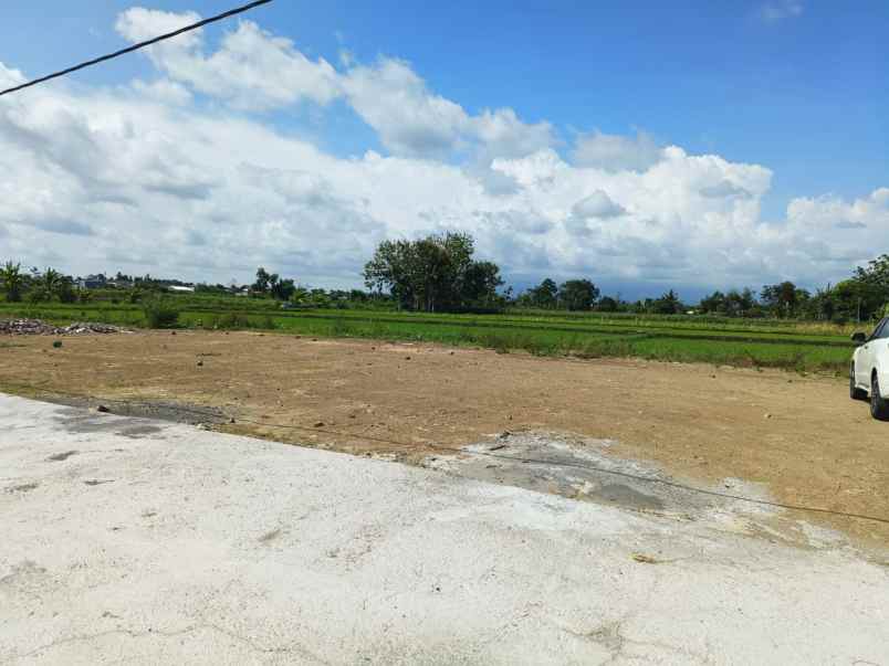 dijual tanah cupuwatu purwomartani kec