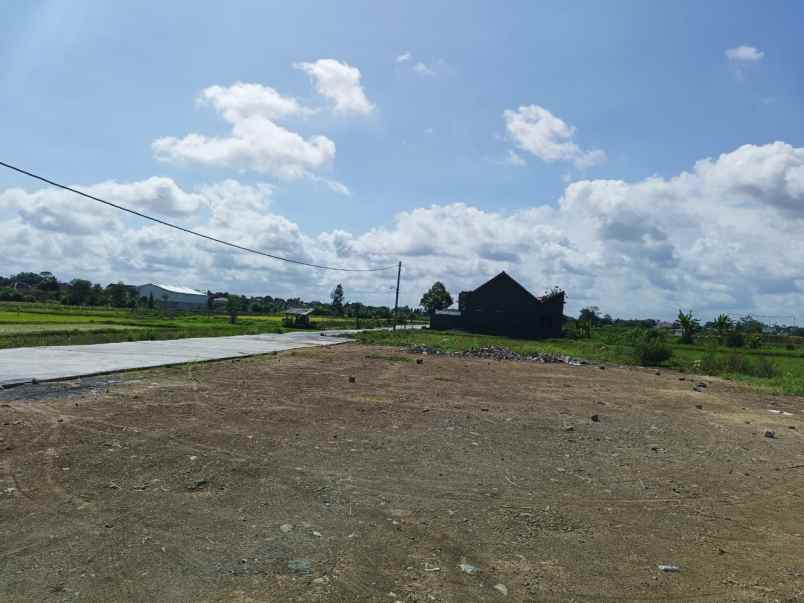 dijual tanah cupuwatu purwomartani kec