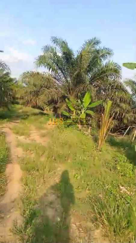 dijual tanah daerah gohor lama 13 km jl