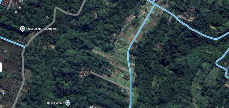 dijual tanah desa pupuan tegalallang