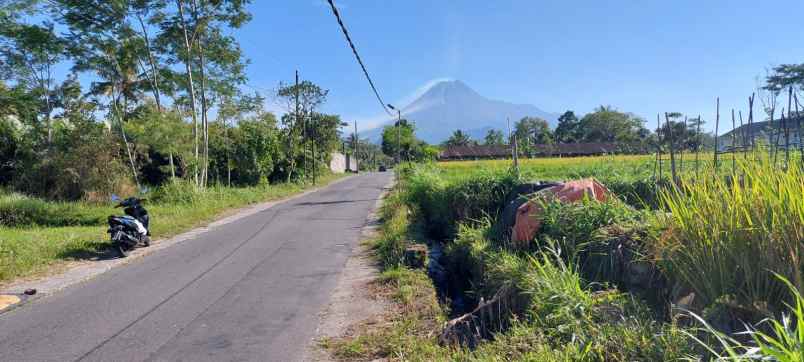 dijual tanah dijual cepat tanah sawah