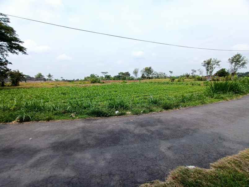 dijual tanah donoharjo