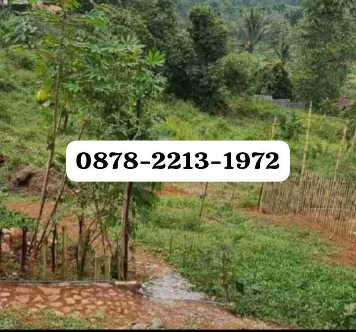 dijual tanah dramaga bogor