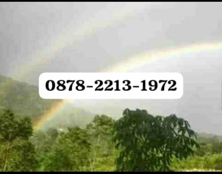 dijual tanah dramaga bogor