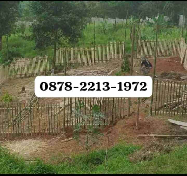 dijual tanah dramaga bogor