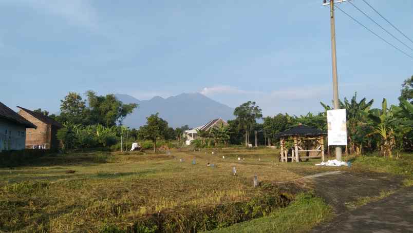 dijual tanah dsn kemuning sumbersuko