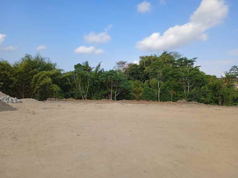 dijual tanah duwet sendangadi