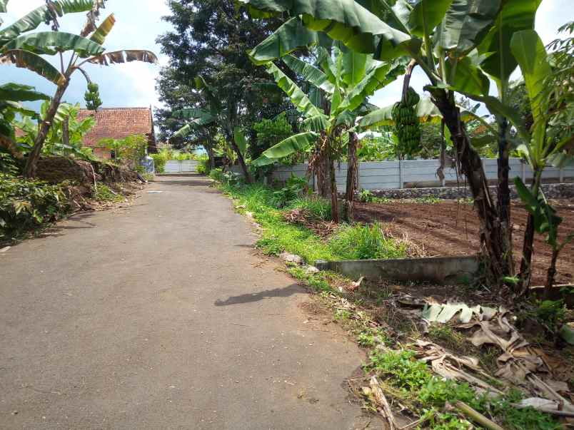 dijual tanah jalan cibatu cikupa desa