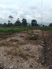 dijual tanah jalan cibodas cilame