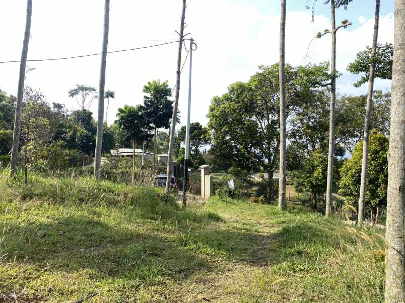 dijual tanah jalan cijeruk tajur halang