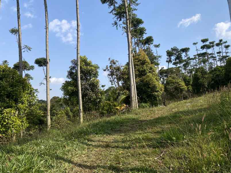 dijual tanah jalan cijeruk tajur halang