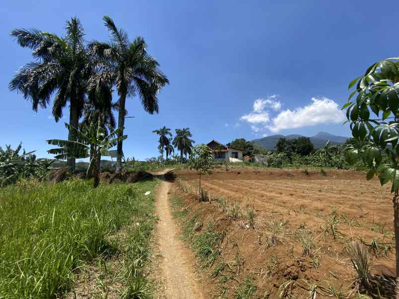 dijual tanah jalan cijeruk tajur halang