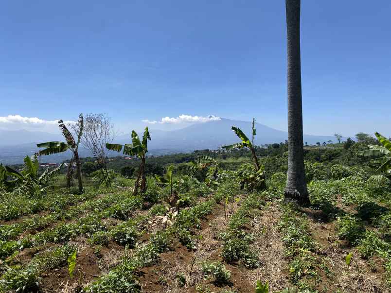 dijual tanah jalan cijeruk tajur halang