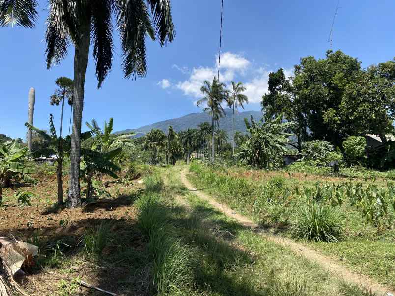 dijual tanah jalan cijeruk tajur halang