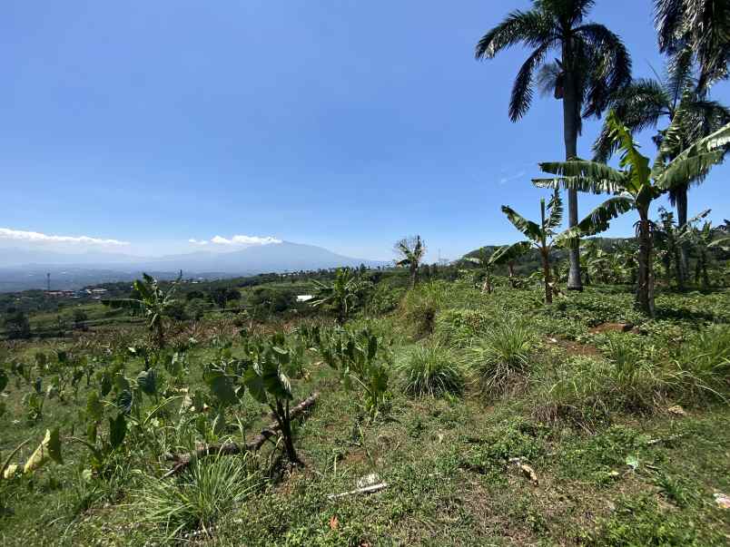 dijual tanah jalan cijeruk tajur halang