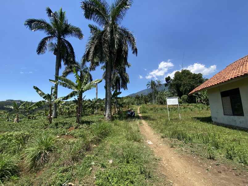 dijual tanah jalan cijeruk tajur halang