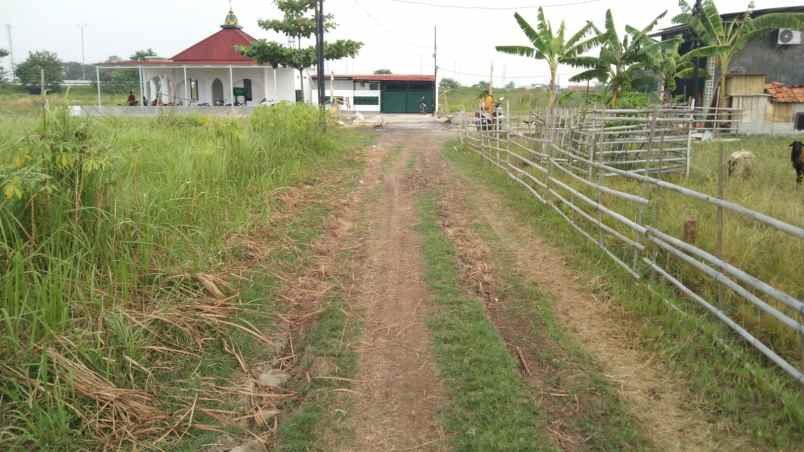 dijual tanah jalan desa srijaya