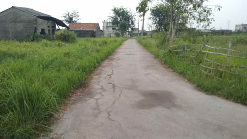 dijual tanah jalan desa srijaya