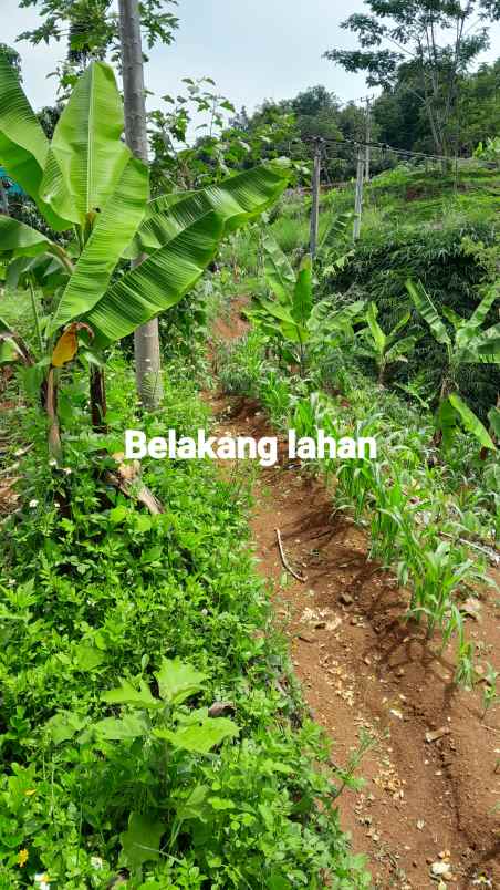 dijual tanah jalan lebakjati cibawang