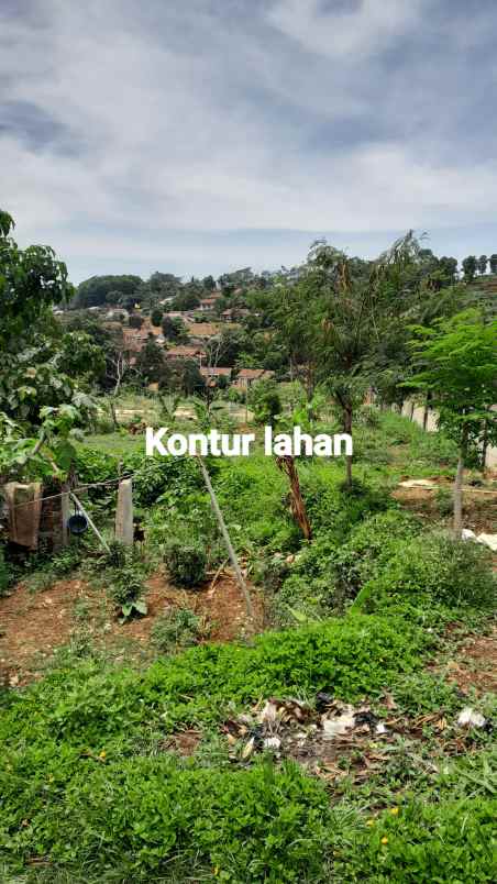 dijual tanah jalan lebakjati cibawang