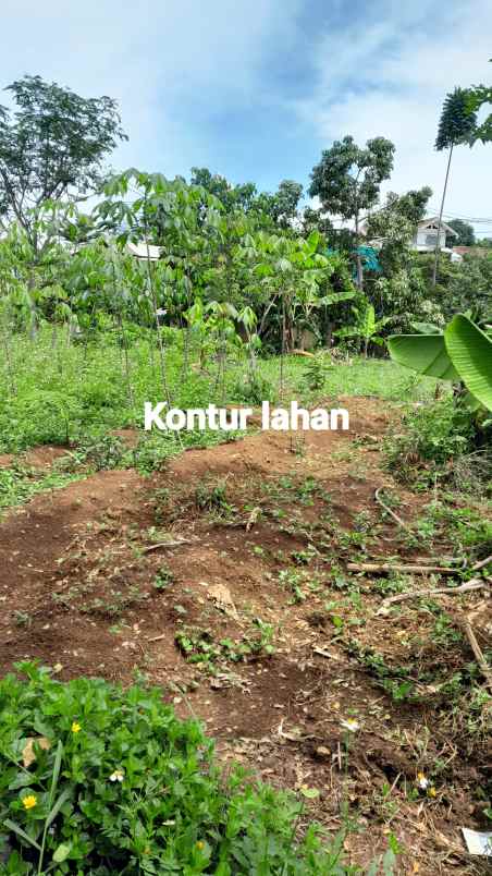 dijual tanah jalan lebakjati cibawang