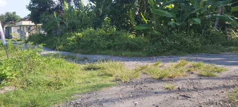 dijual tanah jalan manisrenggo