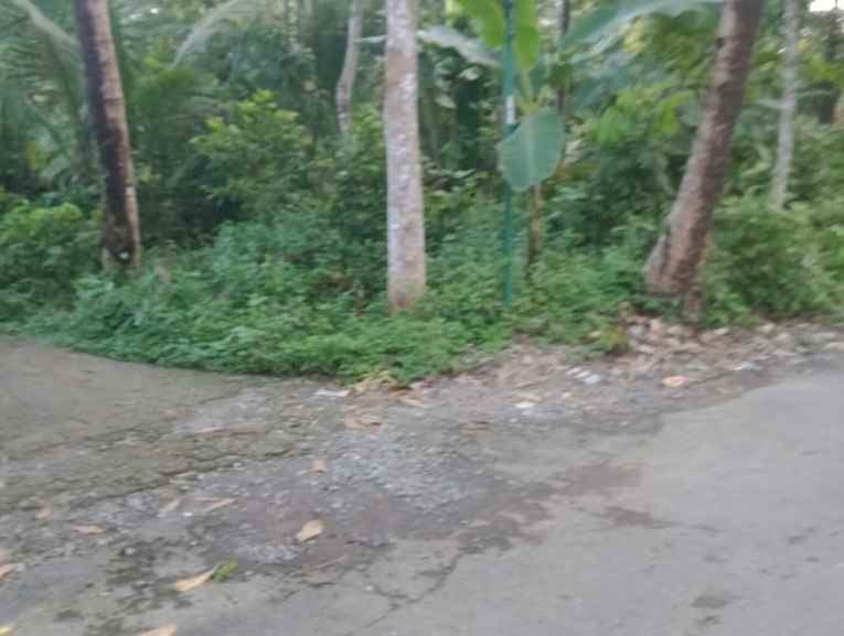 dijual tanah jalan nasional iii candi