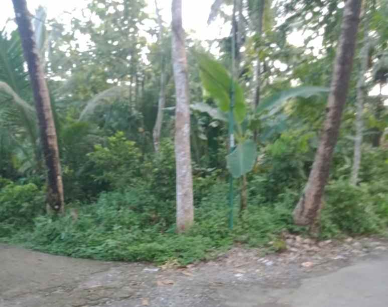 dijual tanah jalan nasional iii candi