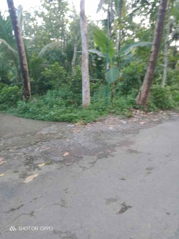 dijual tanah jalan nasional iii candi