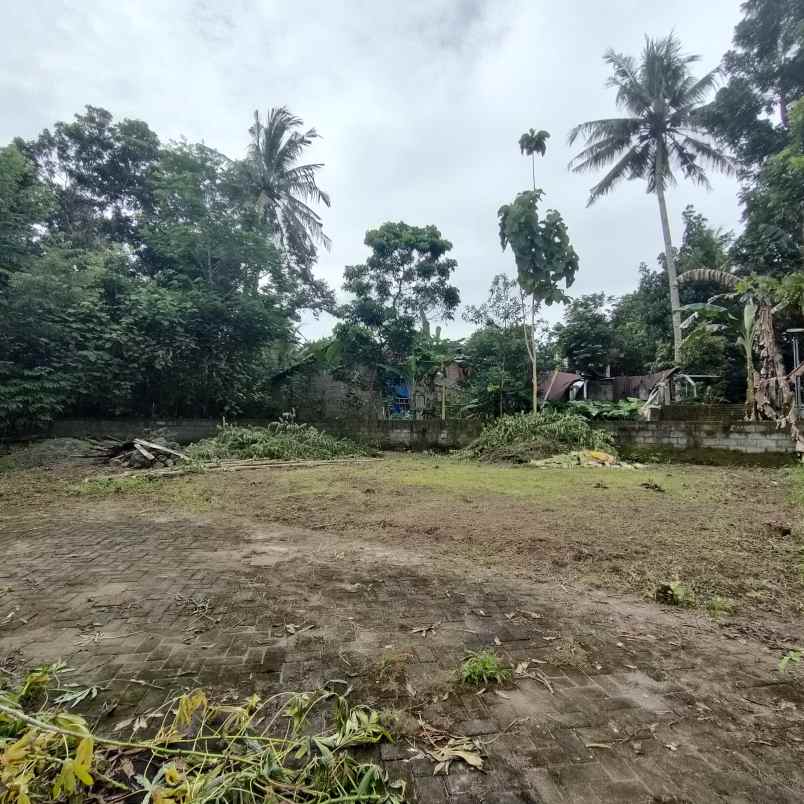 dijual tanah jingin margomulyo kec