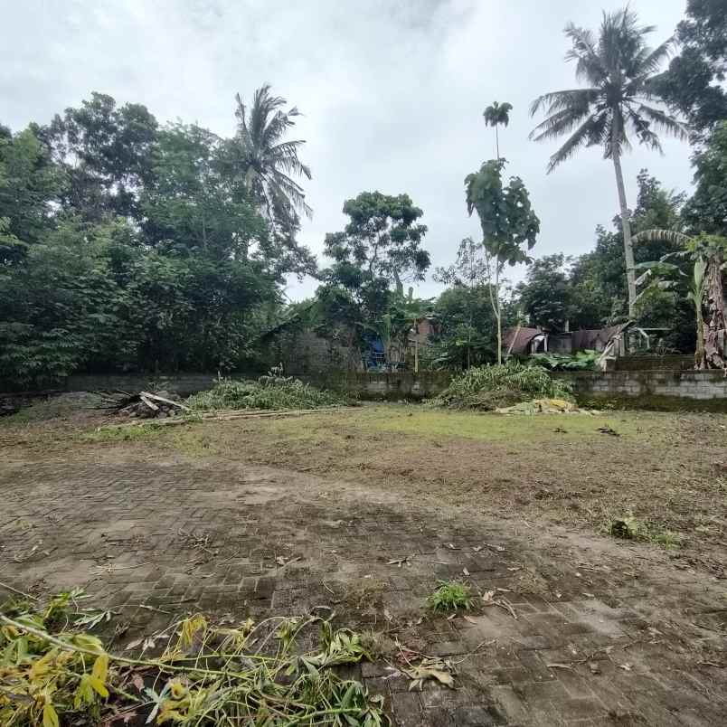 dijual tanah jingin margomulyo kec