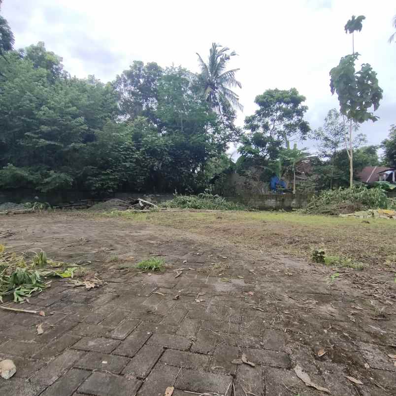 dijual tanah jingin margomulyo kec