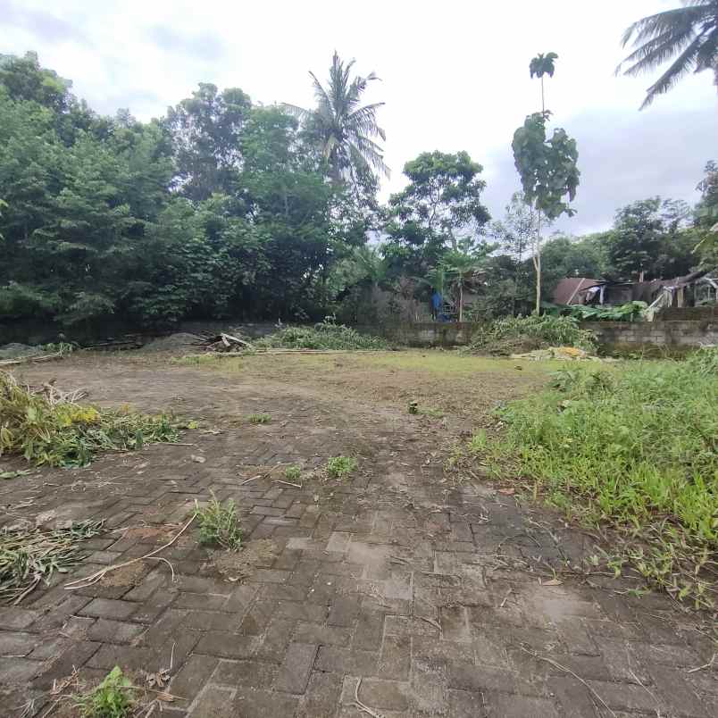 dijual tanah jingin margomulyo kec