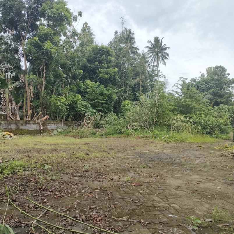 dijual tanah jingin margomulyo kec