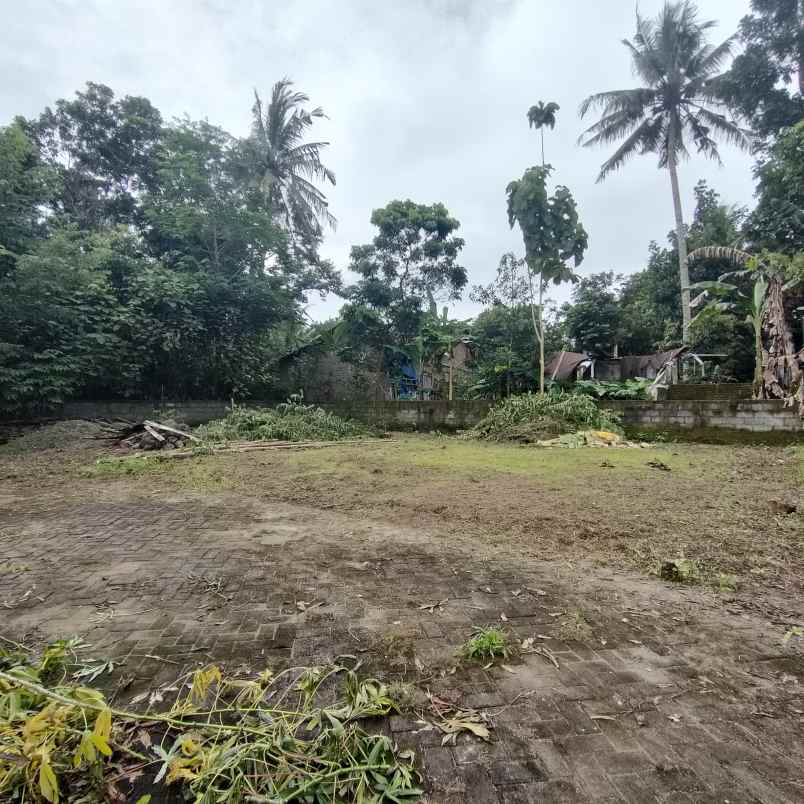 dijual tanah jingin margomulyo kec