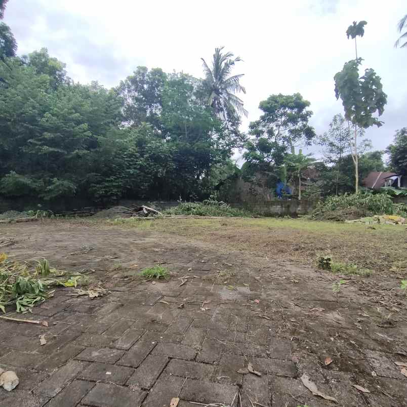 dijual tanah jingin margomulyo kec